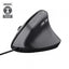 Mouse Trust Ergo Bayo Ii 25144 Dpi Ajustable 800-2400ppp 6 Botones Cable 150cm Negro