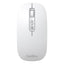 Mouse Coolbox Multidispositivo Ia W02-g Bt5.0 Bt3.0 2.4ghz1600dpi 6 Botones Bateria 500mah Gris
