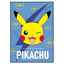 Manta Polar Pikachu Pokemon
