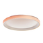Aqara LED Ceiling Light T1M - Lámpara de Techo Inteligente