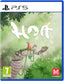 Hoa Sony Playstation 5 PS5