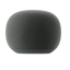 Altavoz Inteligente Google Home Assistant - Gris