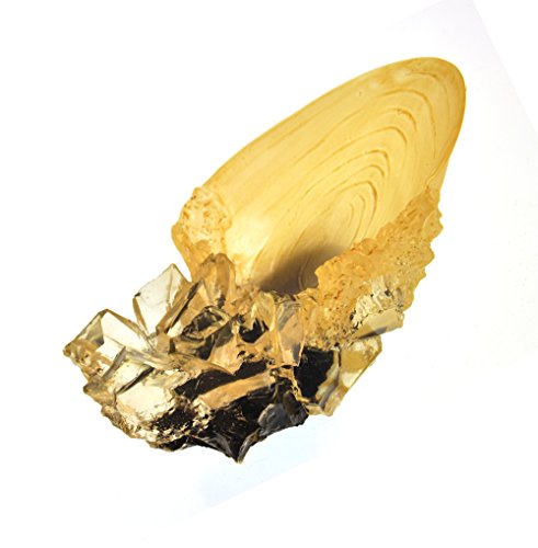 Replica Caliz Copa Harry Potter Hover Image