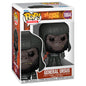Figura Pop El Planeta De Los Simios General Ursus