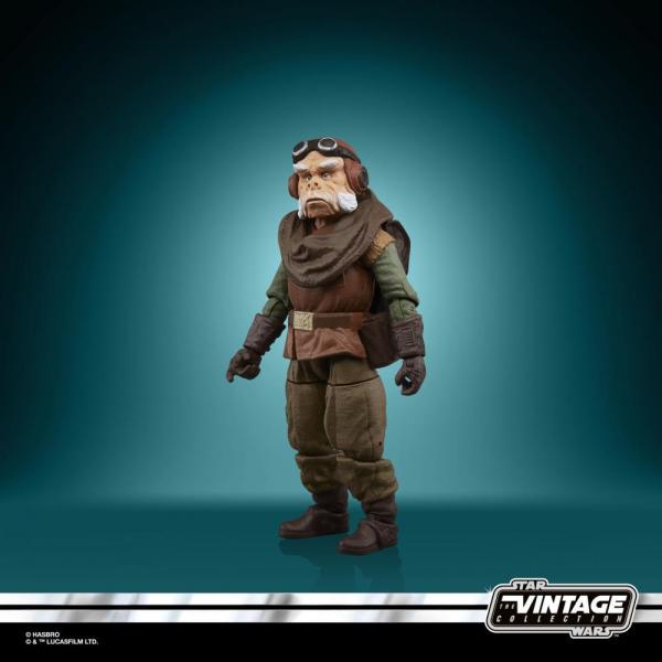 Figura Hasbro Kuiil 10 Cm Star Wars The Mandalorian Vintage Collection