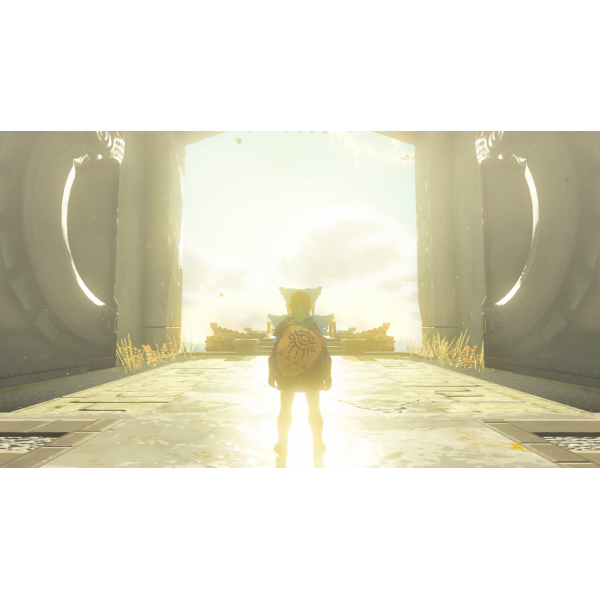 The Legend of Zelda: Tears of the Kingdom Nintendo Switch