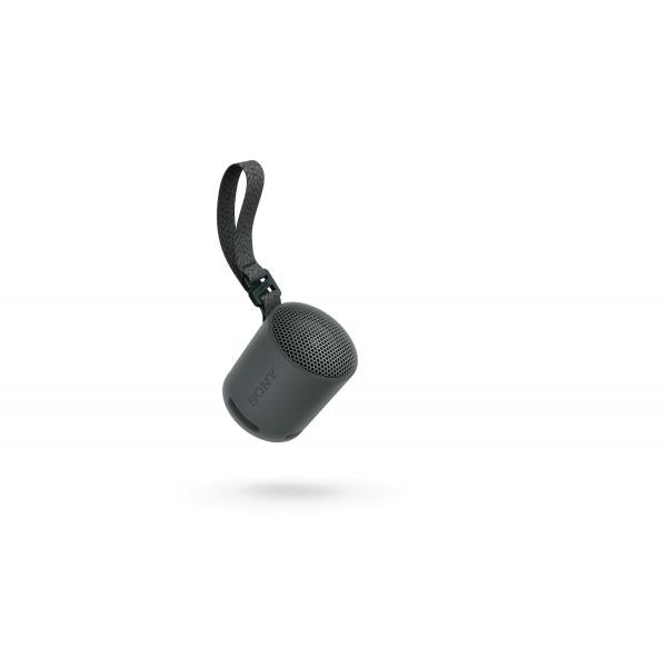 Sony SRS-XB100 Negro