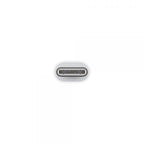 Adaptador Lightning A Usb Tipo C Apple Macho - Hembra Blanco