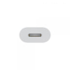 Adaptador Lightning A Usb Tipo C Apple Macho - Hembra Blanco