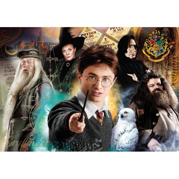 Puzzle Harry Potter 500Pzs