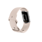 Fitbit Charge 6 Plata - Pulsera de Actividad