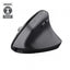 Mouse Trust Wireless Ergo Bayoii+ 25146 Multidispositivo Rf 2.4ghz Y 2xbt Dpi Ajustable 800-2400ppp