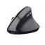 Mouse Trust Tm-270 Ergonomico Inalambrico Con Angulo Vertical Para Proteger La Mueca 25371