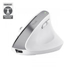 Mouse Trust Wireless Ergo Bayoii+ 25399 Multidispositivo Rf 2.4ghz Y 2xbt Dpi Ajustable 800-2400ppp