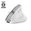 Mouse Trust Wireless Ergo Bayoii+ 25399 Multidispositivo Rf 2.4ghz Y 2xbt Dpi Ajustable 800-2400ppp