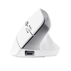 Mouse Trust Wireless Ergo Bayo Ii Rf 2.4 Ghz Dpi Ajustable 800-2400ppp 6 Botones Carga Usb-c Blanco
