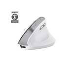 Mouse Trust Wireless Ergo Bayo Ii Rf 2.4 Ghz Dpi Ajustable 800-2400ppp 6 Botones Carga Usb-c Blanco