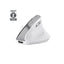 Mouse Trust Wireless Ergo Bayo Ii Rf 2.4 Ghz Dpi Ajustable 800-2400ppp 6 Botones Carga Usb-c Blanco