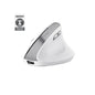 Mouse Trust Wireless Ergo Bayo Ii Rf 2.4 Ghz Dpi Ajustable 800-2400ppp 6 Botones Carga Usb-c Blanco