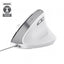 Mouse Trust Ergo Bayo Ii 25397 Dpi Ajustable 800-2400ppp 6 Botones Cable 150cm Blanco