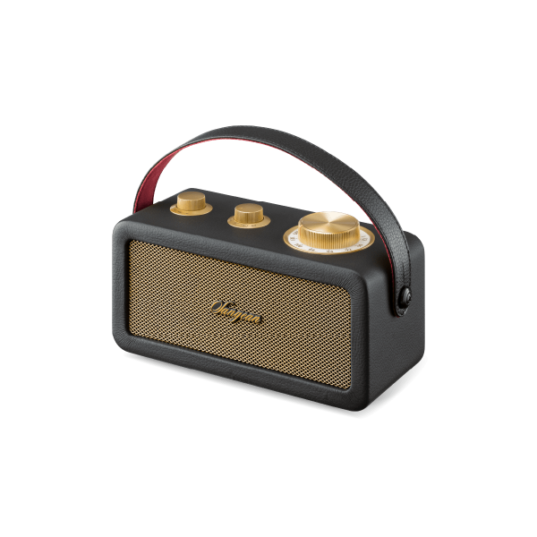 Sangean Ra-101 Black Gold / Altavoz Portátil Main Image