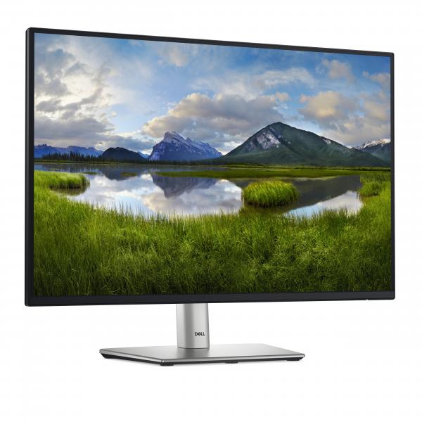 DELL P Series P2425 24.1 WUXGA IPS 100 Hz Negro