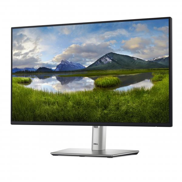 DELL P Series P2425H 24 Full HD LCD IPS 100 Hz Negro