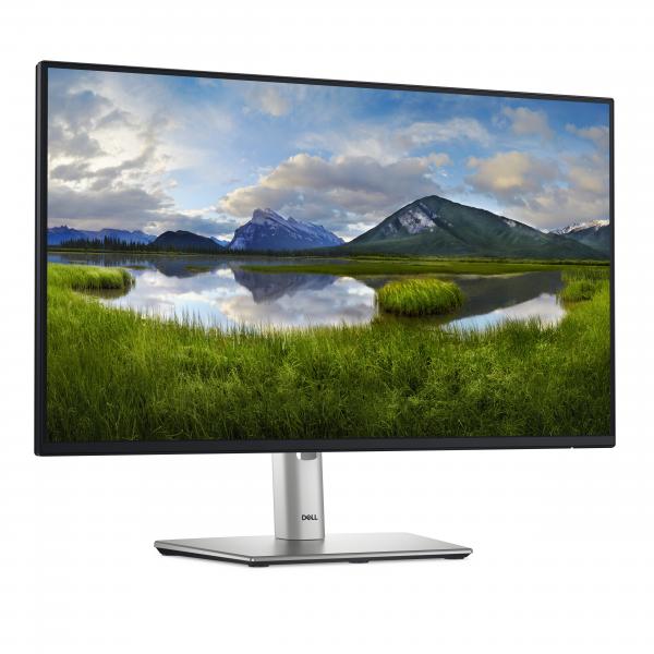 Dell P Series P2425HE 24 FullHD IPS 100Hz Negro