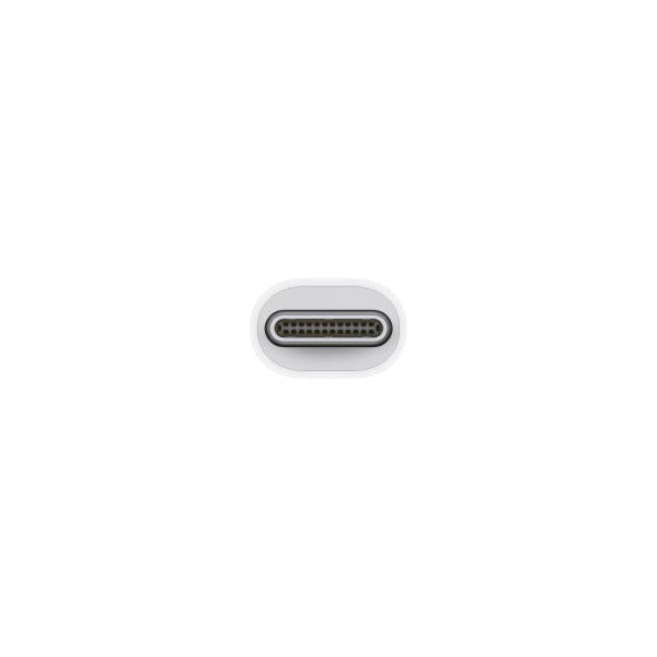 Adaptador Usb Tipo C A Mini Displayport Apple Blanco - Macho - Hembra
