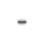 Adaptador Usb Tipo C A Mini Displayport Apple Blanco - Macho - Hembra