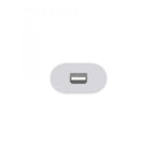 Adaptador Usb Tipo C A Mini Displayport Apple Blanco - Macho - Hembra