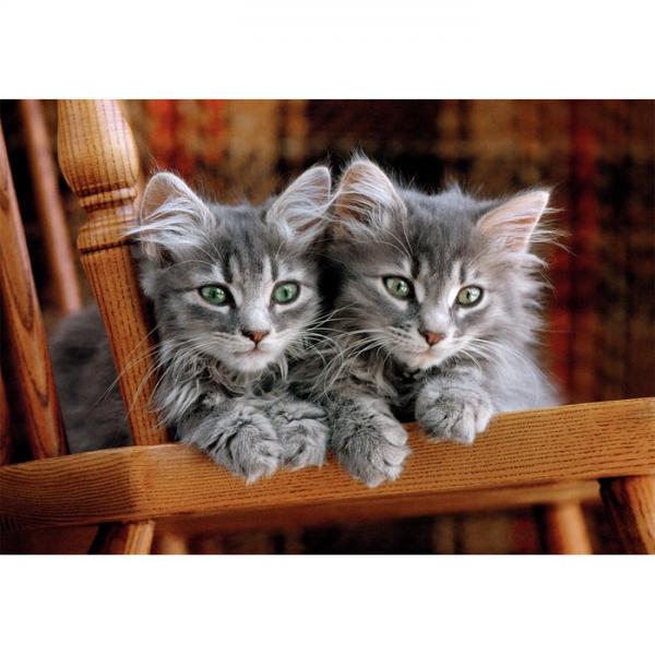 Puzzle Kittens High Quality 500Pzs