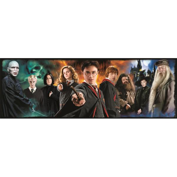 Puzzle Panorama Harry Potter 1000Pzs Main Image