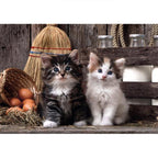 Puzzle Lovely Kittens High Quality 1000Pzs