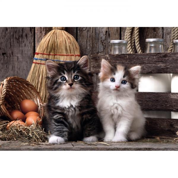 Puzzle Lovely Kittens High Quality 1000Pzs Main Image
