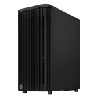 Asus ProArt PA401 Wood TG Edition Negro