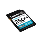 Kingston Canvas Go! Plus 256gb Negro/ Tarjeta De Memoria Sd / Categoría 10 Sdg4 - Uhs-i
