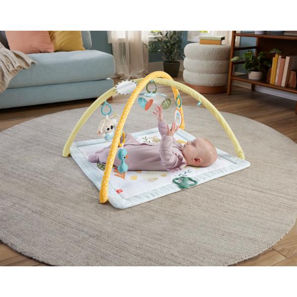 Gimnasio Infantil Despierta Tus Sentidos