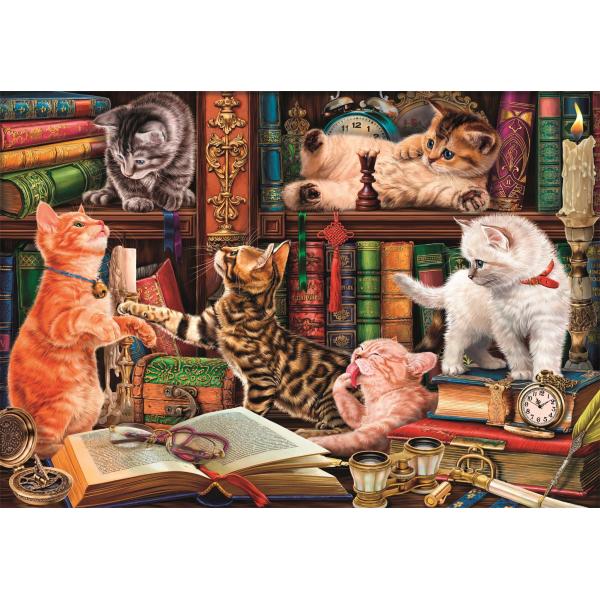 Puzzle Curious Whiskers 1000Pzs