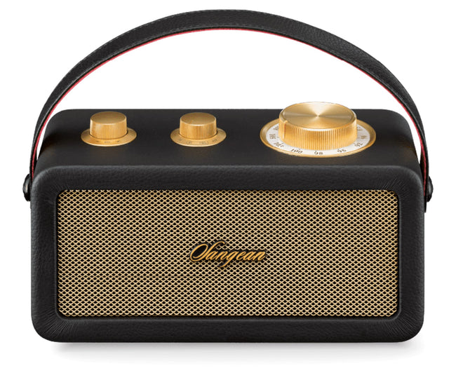 Sangean Ra-101 Black Gold / Altavoz Portátil Hover Image