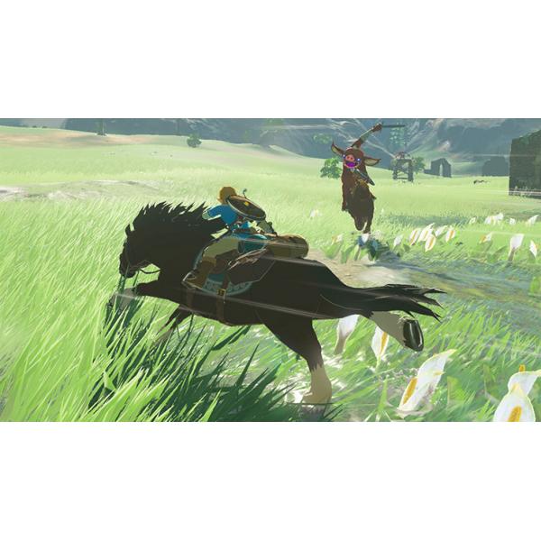 The Legend Of Zelda:Breath Of The Wild N-Switch