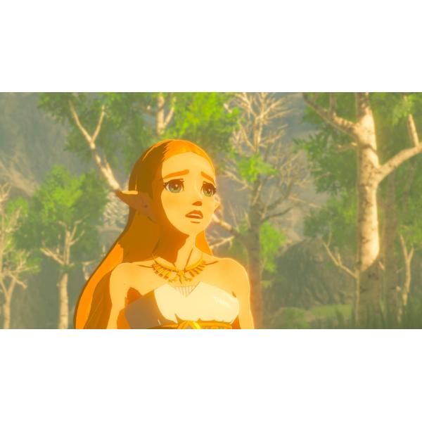 Figura Amiibo Zelda: The Wind Waker