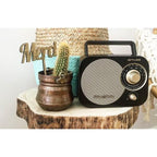 Muse M-055 Rb Negro / Radio Portátil