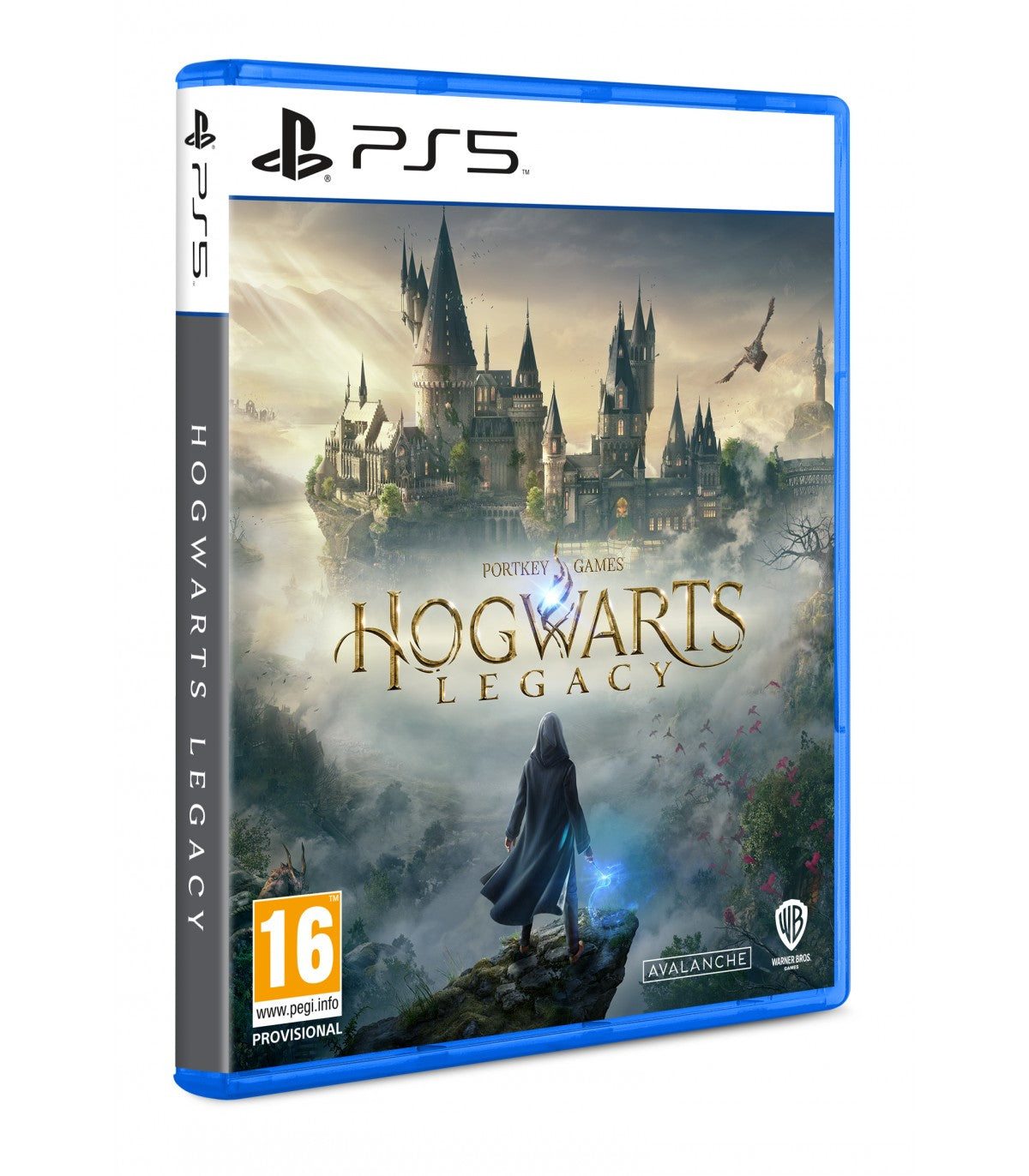 Hogwarts Legacy Standard Ps5