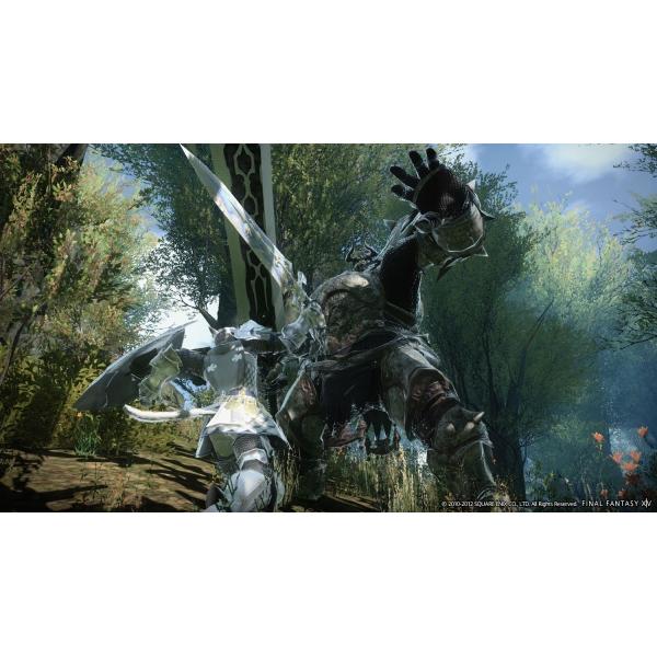 Final Fantasy Xiv Online Starter Edition Sony Playstation 4 PS4 Main Image
