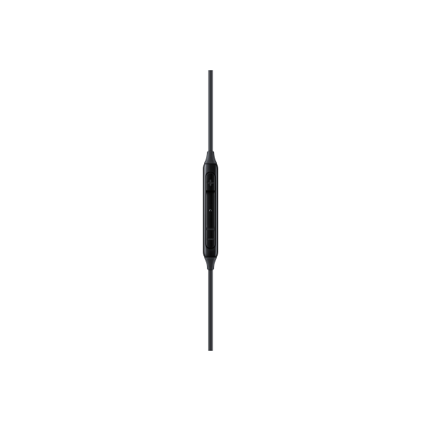 Samsung EO-IC100 USB Tipo C Negro