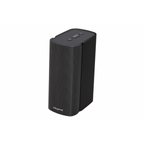 Creative Labs T100 Negro - Altavoces PC