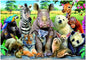 Puzzle 1000 Foto De Clase