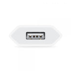 Cargador de Pared APPLE MGN13ZM/A - 5W  USB