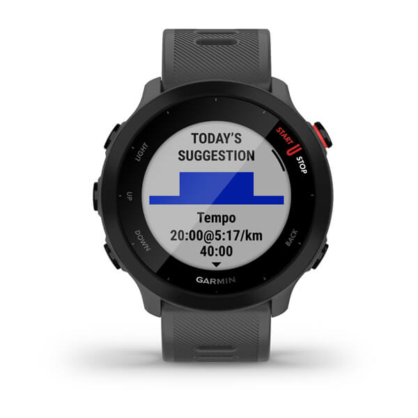 Garmin Forerunner 55 Monterra Grey / Smartwatch 42mm